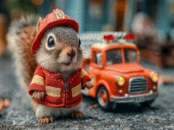 Produktbild: CALVENDO Puzzle Mutiges Feuerwehr-Eichh&ouml;rnchen im Einsatz | 1000 Teile Lege-Gr&ouml;&szlig;e 64x48cm Foto-Puzzle f&uuml;r gl&uuml;ckliche Stunden