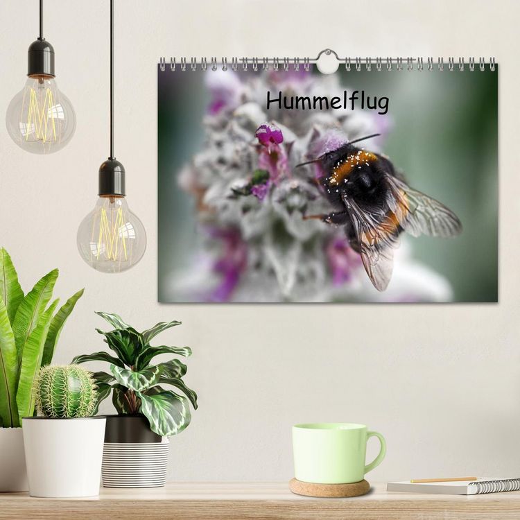 Produktbild: Hummelflug (Wandkalender 2026 DIN A4 quer), CALVENDO Monatskalender