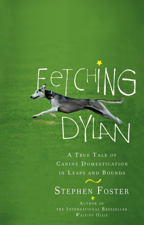 Produktbild: Fetching Dylan