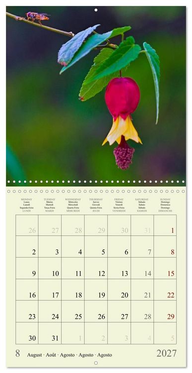 Produktbild: Petites fleurs color&eacute;es (Calendrier mural carr&eacute; 2027 30x30 cm) Calendrier double avec une page pour vos prises de notes