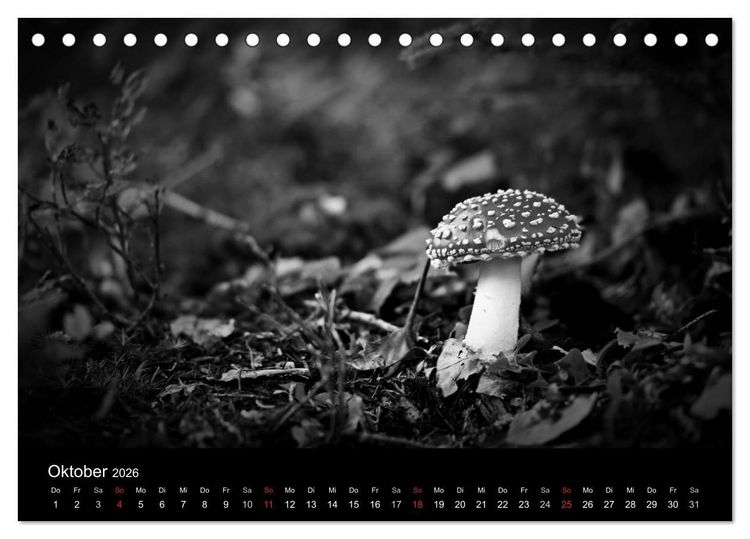 Produktbild: Hexen (Tischkalender 2026 DIN A5 quer), CALVENDO Monatskalender