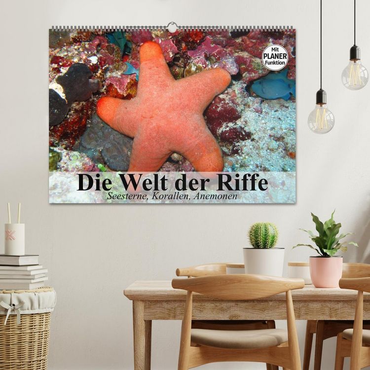 Produktbild: Die Welt der Riffe. Seesterne, Korallen, Anemonen (Wandkalender 2026 DIN A2 quer), CALVENDO Monatskalender