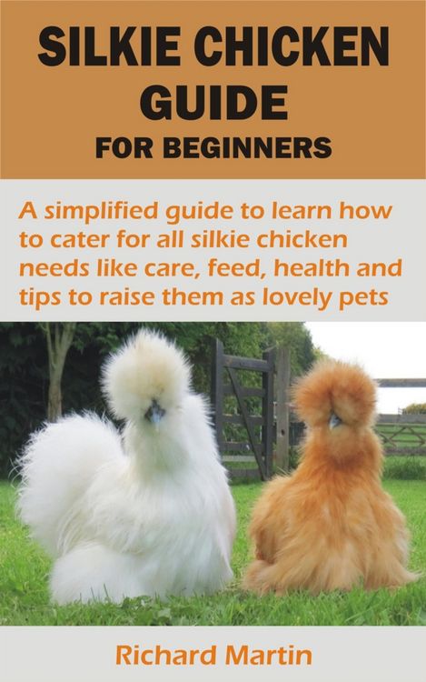 Produktbild: Silkie Chicken Guide For Beginners