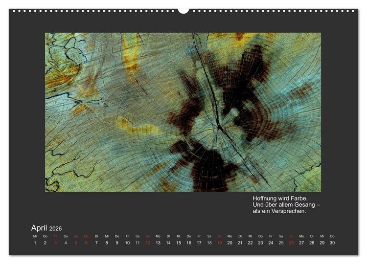 Produktbild: MAGIE HOLZ 2026 (hochwertiger Premium Wandkalender 2026 DIN A2 quer), Kunstdruck in Hochglanz