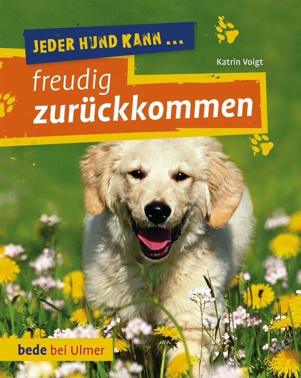 Bild vom Artikel Jeder Hund kann freudig zurückkommen vom Autor Katrin Voigt