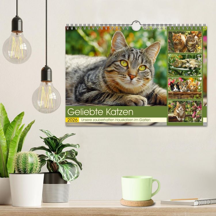 Produktbild: Geliebte Katzen. Unsere zauberhaften Hauskatzen im Garten (Wandkalender 2026 DIN A4 quer), CALVENDO Monatskalender