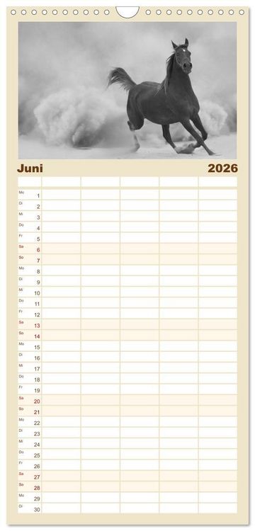 Produktbild: Familienplaner 2026 - Arabische Pferde mit 5 Spalten (Wandkalender, 21 x 45 cm) CALVENDO