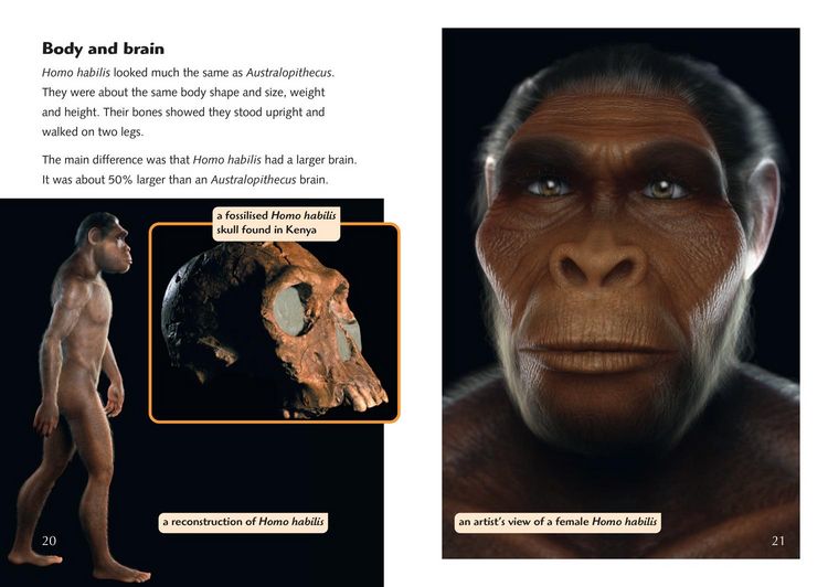 Produktbild: The Story of Us: Becoming Human