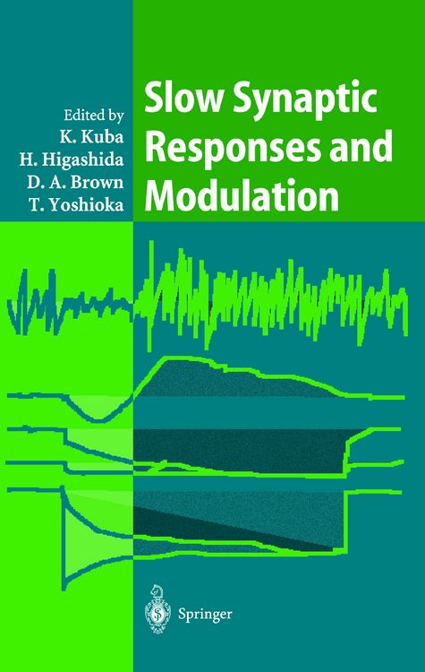 Produktbild: Slow Synaptic Responses and Modulation
