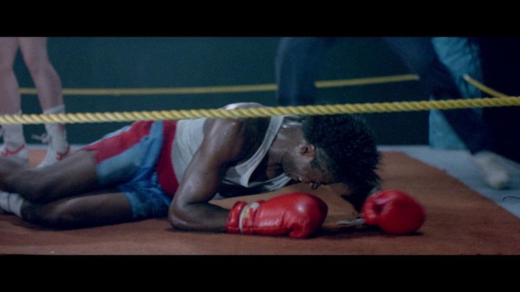 Produktbild: KICKBOXER KING - SCANAVO EDITION