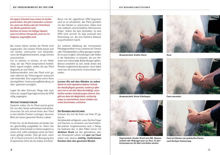 Produktbild: Stresspunktmassage nach Jack Meagher
