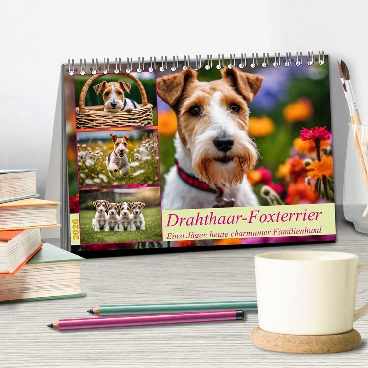 Produktbild: Drahthaar-Foxterrier (Tischkalender 2026 DIN A5 quer), CALVENDO Monatskalender