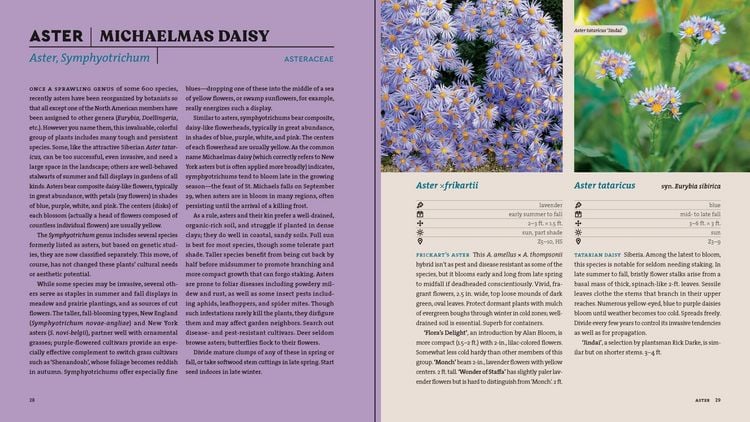 Produktbild: Perennials for the Pacific Northwest