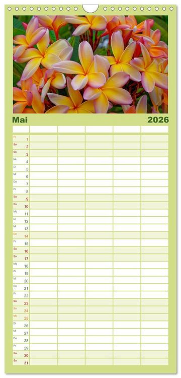 Produktbild: Familienplaner 2026 - Madeira und Porto Santo mit 5 Spalten (Wandkalender, 21 x 45 cm) CALVENDO