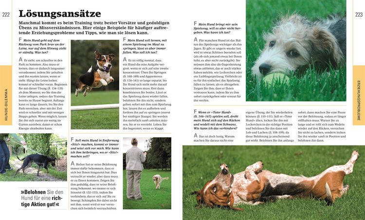 Produktbild: Hundeerziehung ganz einfach