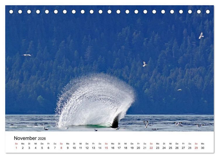 Produktbild: Trans-Canada: Von Vancouver nach Halifax (Tischkalender 2026 DIN A5 quer), CALVENDO Monatskalender