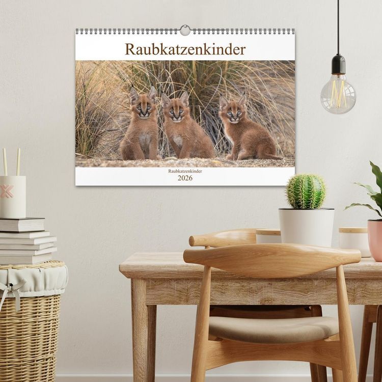 Produktbild: Raubkatzenkinder (Wandkalender 2026 DIN A3 quer), CALVENDO Monatskalender