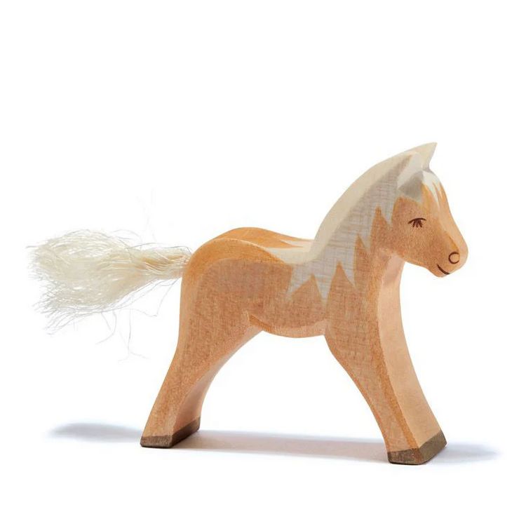 Produktbild: Haflinger Fohlen