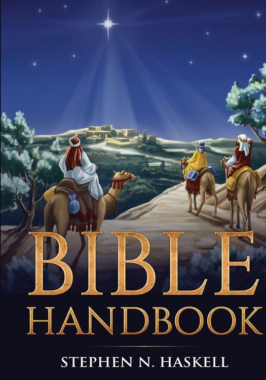 Produktbild: Bible Handbook