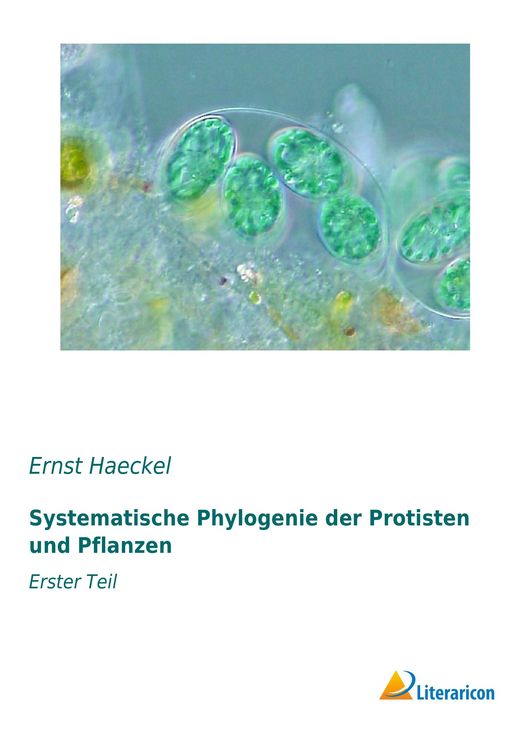 Produktbild: Systematische Phylogenie der Protisten und Pflanzen