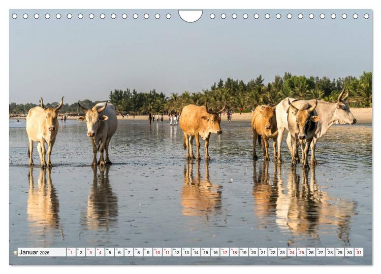 Produktbild: Westafrika - The Gambia (Wandkalender 2026 DIN A4 quer), CALVENDO Monatskalender