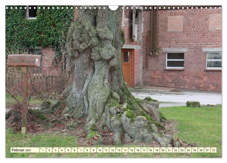Produktbild: Zauberhaftes, die Natur als K&uuml;nstler (Wandkalender 2027 DIN A3 quer), CALVENDO Monatskalender