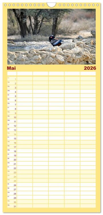Produktbild: Familienplaner 2026 - Kgalagadi - Fauna und Wildtiere in der Kalahari mit 5 Spalten (Wandkalender, 21 x 45 cm) CALVENDO