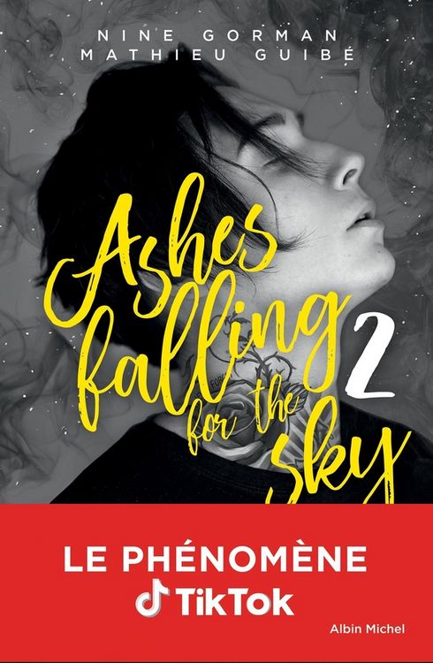 Produktbild: Ashes falling for the sky. Tome 2