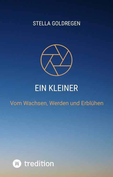 Produktbild: Ein kleiner Lichtfunke auf Erden