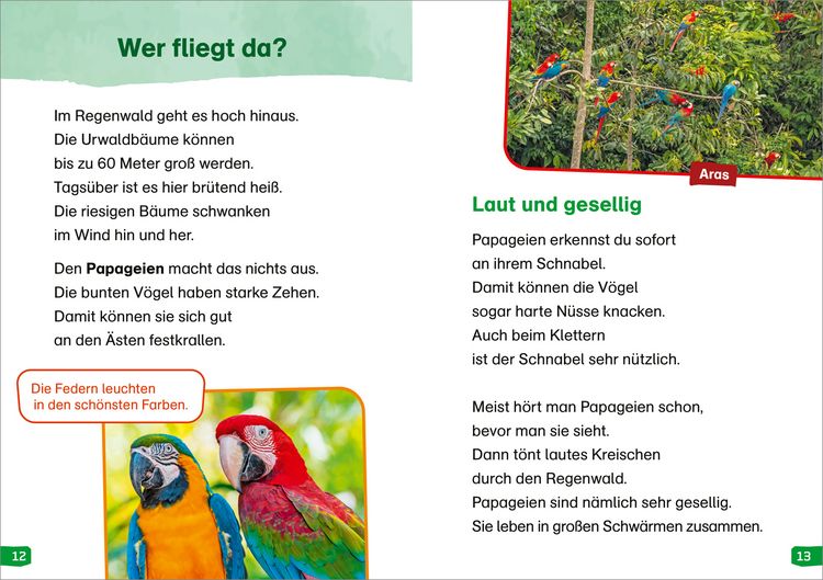 Produktbild: WAS IST WAS Erstes Lesen easy! Band 18. Tiere im Regenwald