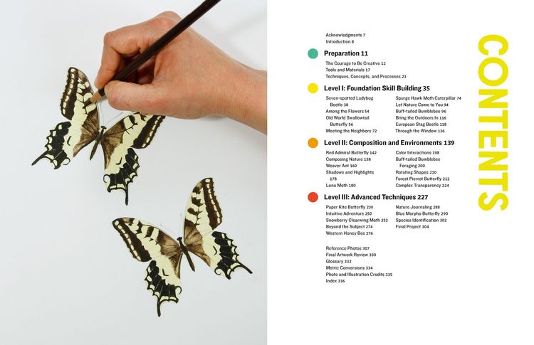 Produktbild: The Insect Artist