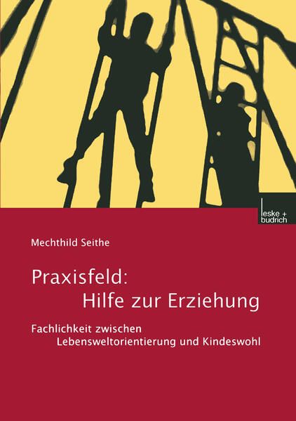 Produktbild: Praxisfeld: Hilfe zur Erziehung