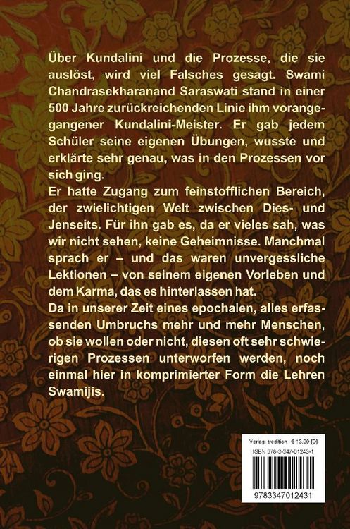 Produktbild: Kundalini und die Lehren eines Meisters