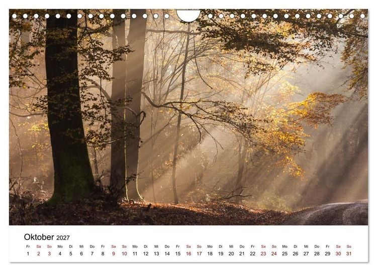 Produktbild: Taunus - Traumhafte W&auml;lder und romantische Orte (Wandkalender 2027 DIN A4 quer), CALVENDO Monatskalender