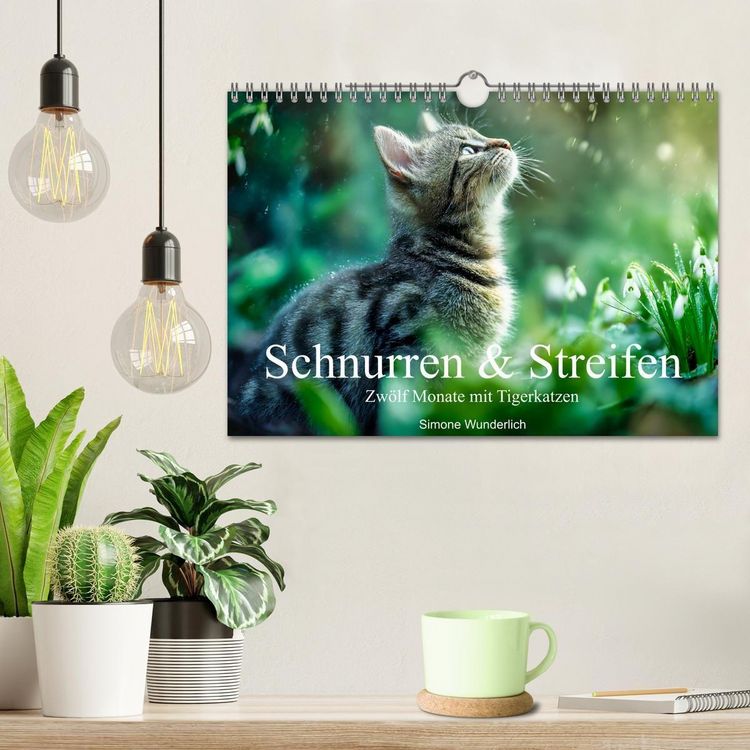 Produktbild: Schnurren & Streifen - Zw&ouml;lf Monate mit Tigerkatzen (Wandkalender 2027 DIN A4 quer), CALVENDO Monatskalender