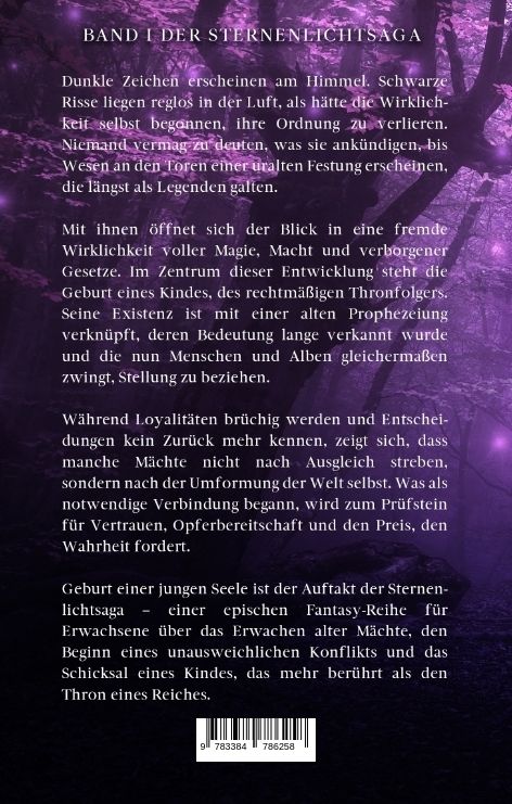 Produktbild: Sternenlichtsaga, Geburt einer jungen Seele
