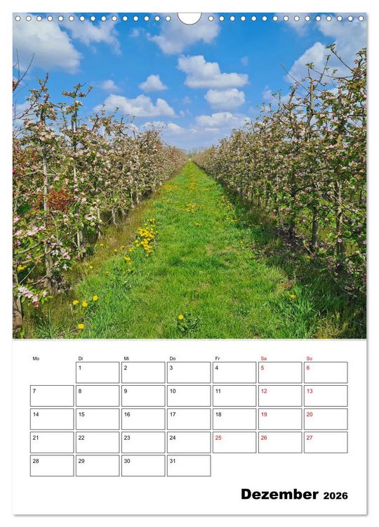 Produktbild: Fr&uuml;hling im Alten Land - Baumbl&uuml;tenzeit (Wandkalender 2026 DIN A3 hoch), CALVENDO Monatskalender