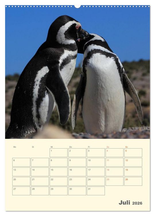 Produktbild: Mit Pinguinen durch das Jahr (Wandkalender 2026 DIN A2 hoch), CALVENDO Monatskalender