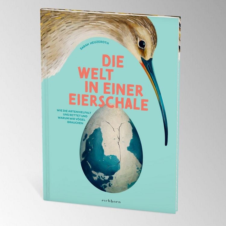 Produktbild: Die Welt in einer Eierschale