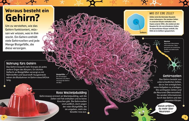 Produktbild: Superstark & superschlau. Superschlaues Gehirn