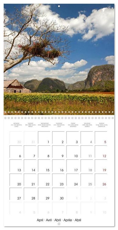Produktbild: Carribean - Cuba (Wall Calendar 2026 12 &times; 12 Inch) CALVENDO 12 Month Wall Calendar