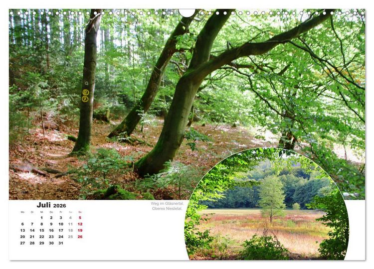 Produktbild: Der Grimmsteig (Wandkalender 2026 DIN A3 quer), CALVENDO Monatskalender