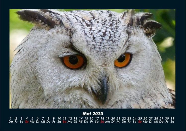 Produktbild: Vogelparadies 2025 Fotokalender DIN A4