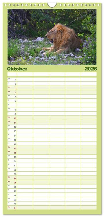 Produktbild: Familienplaner 2026 - Botswana- Pirschfahrt mit Garantie auf Wildlife mit 5 Spalten (Wandkalender, 21 x 45 cm) CALVENDO