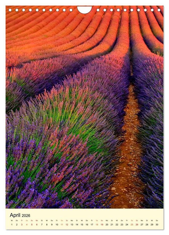 Produktbild: Provence Lavendel Paradies (Wandkalender 2026 DIN A4 hoch), CALVENDO Monatskalender