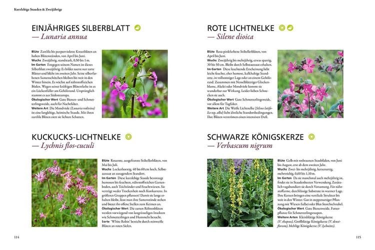 Produktbild: Wild & bunt