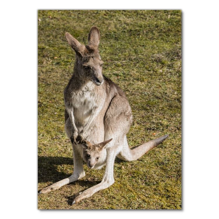 Produktbild: Lais Puzzle K&auml;nguru Australien 500 Teile