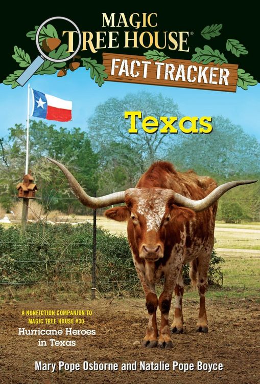 Produktbild: Texas