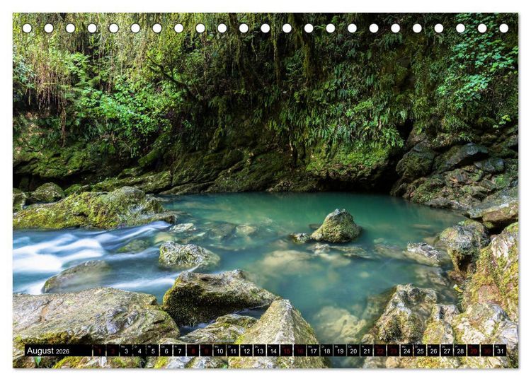 Produktbild: Waldwasser (Tischkalender 2026 DIN A5 quer), CALVENDO Monatskalender
