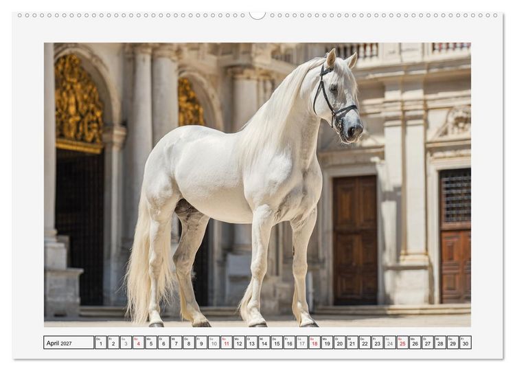 Produktbild: Spanische Eleganz. Edle Schimmel auf dem Gest&uuml;t (hochwertiger Premium Wandkalender 2027 DIN A2 quer), Kunstdruck in Hochglanz